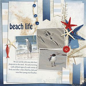 Beach Life