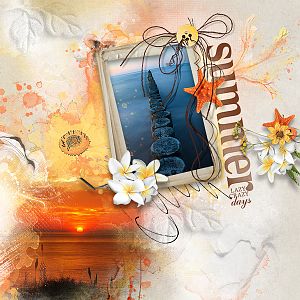 Summer Cocktail