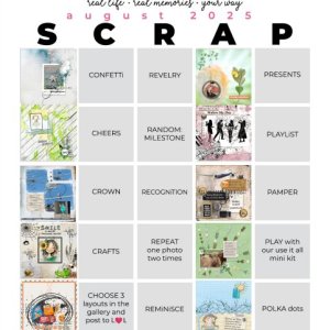 2025-08_pbp_scrapbook_bingo complete.jpg