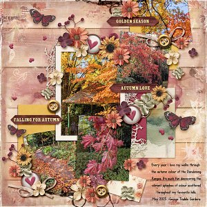 Falling For Autumn