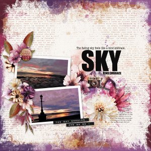 aubergine-sky.jpg