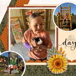 A Wonderful Day