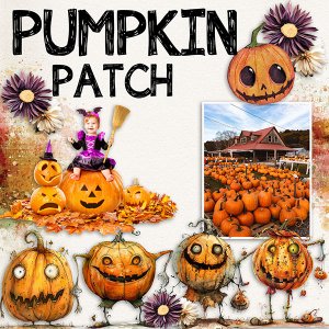 Pumpkin Patch.jpg
