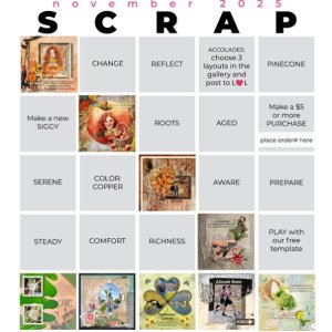 2025-11_pbp_scrapbook_bingo_janisn.jpg