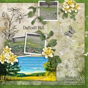 Daffodil Hill
