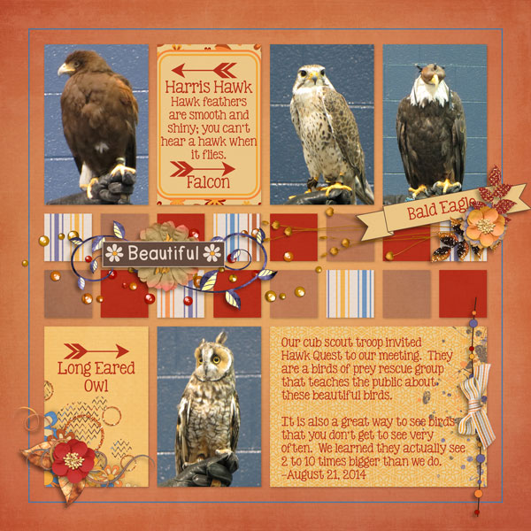 Beautiful Birds of Prey