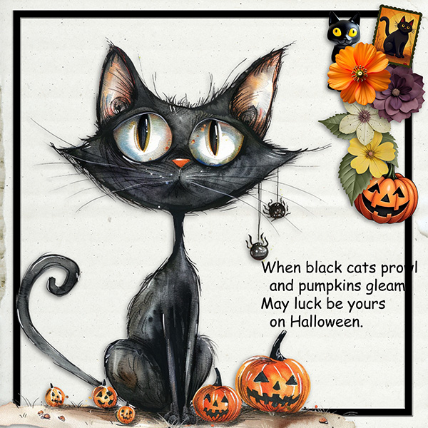 Black Cat.jpg