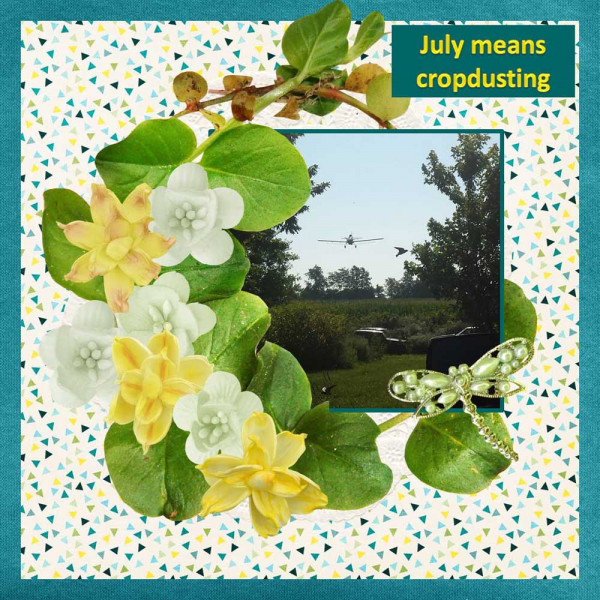 Booland Designs - Lolly Bag - Summer Dreams - Barbara50