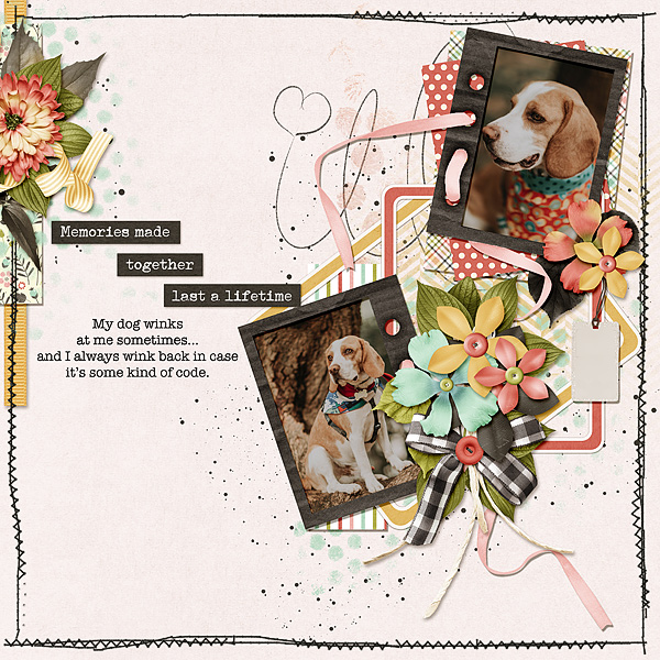 Dog Winks