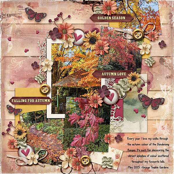Falling For Autumn