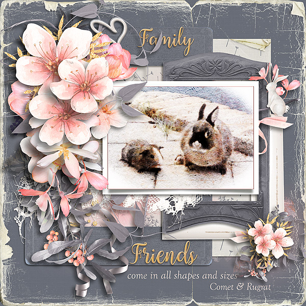 Friends come in all Shapes and Sizes