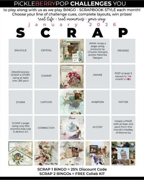 Jan 2026 Bingo.jpg