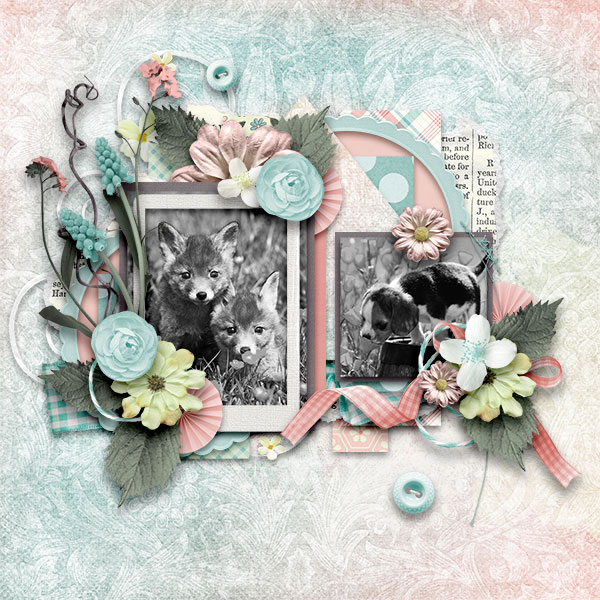 Little Spring