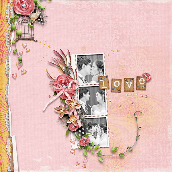 Love Birds