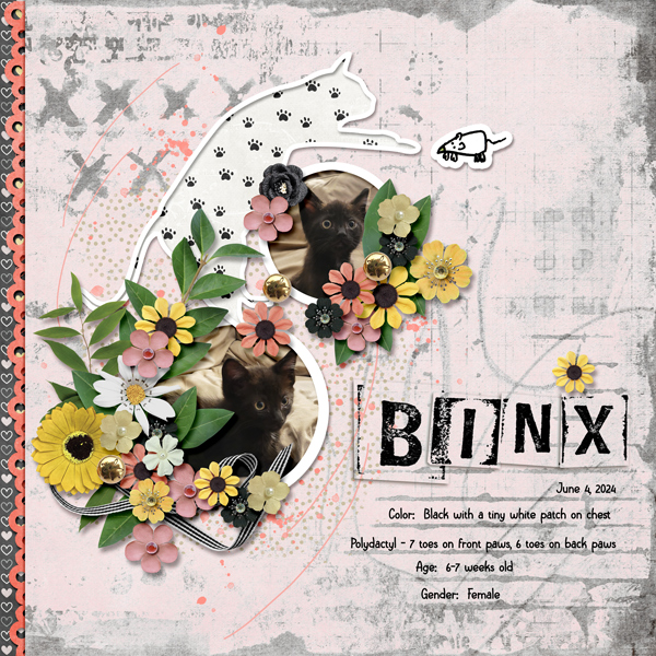 My-Little-Binxy.jpg