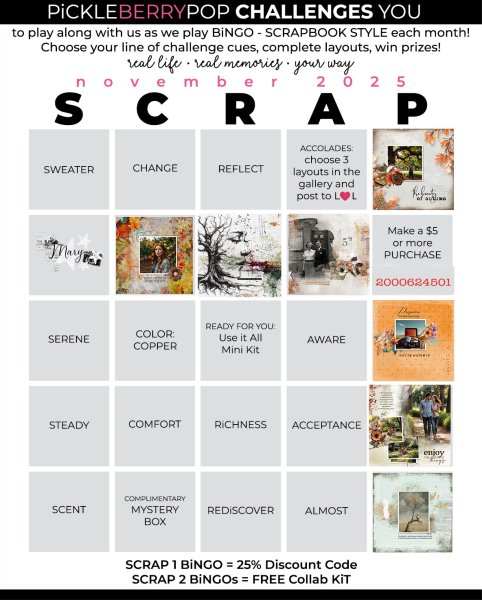 pp 2025 11 bingo card.jpg