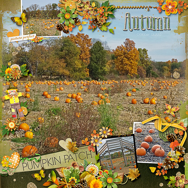 Pumpkin Patch