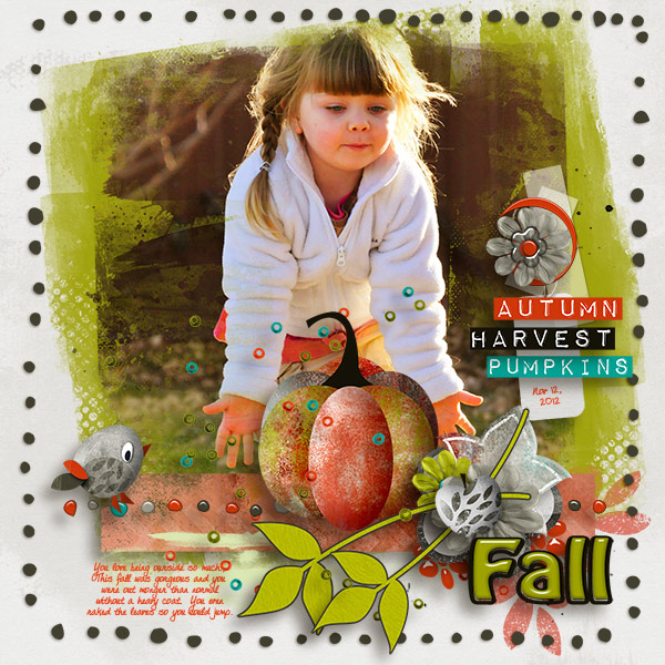 Sami Fall