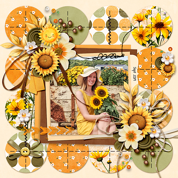 Sunflower days