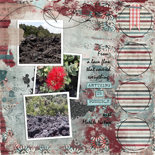 Volcano National Park_R