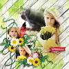 Rose Garden 03 | Templates