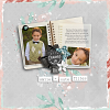 Use Editable Quickpage and add word strips