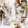 Daily Notes by TirAmsu design: layout by Julie