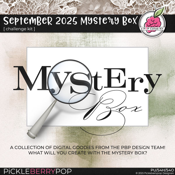 September 2025 Mystery Box