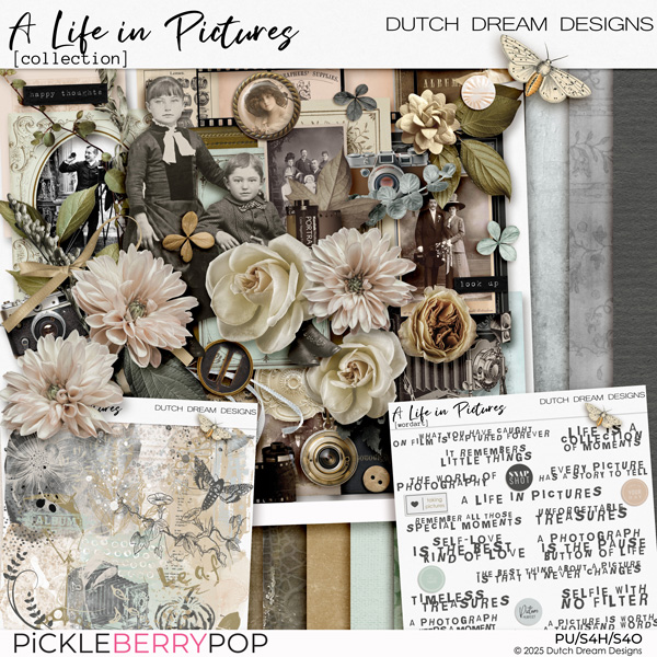 A Life in Pictures - Collection