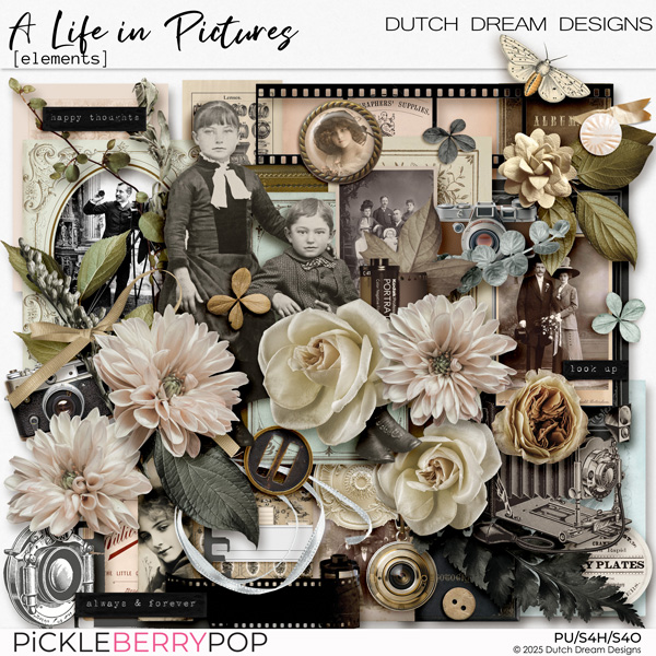 A Life in Pictures - Elements