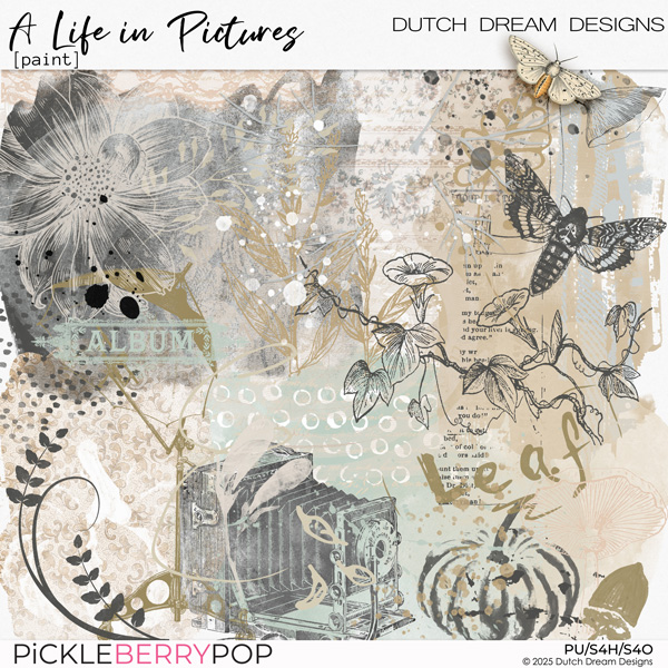 A Life in Pictures - Paint