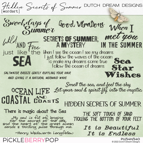 Hidden Secrets of Summer - Wordart