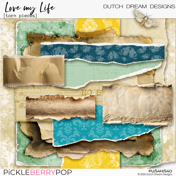 Love my Life - Torn Pieces