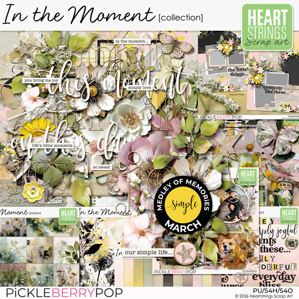 In the Moment Collection