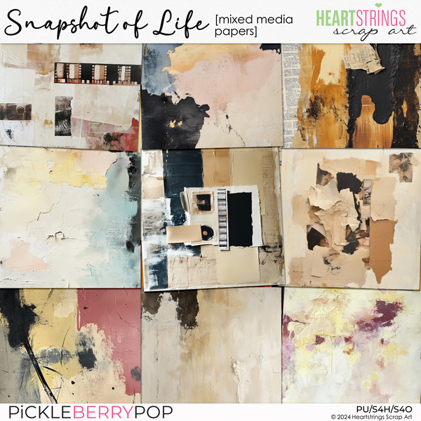 Snapshot of Life Mixed Media Papers