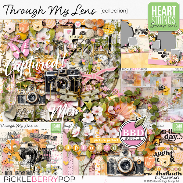 Through My Lens: BBD Bundle