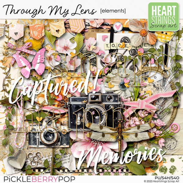 Through My Lens Elements Through My Lens Elements