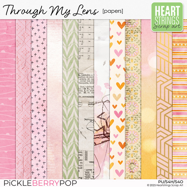 Through My Lens Papers