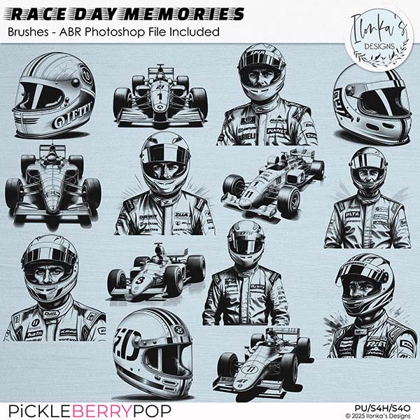Race Day Memories Brushes by Ilonka's Designs