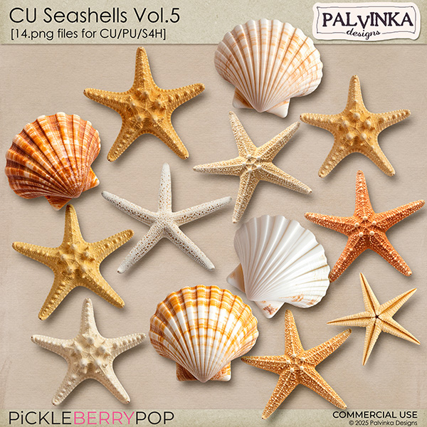 CU Seashells 5