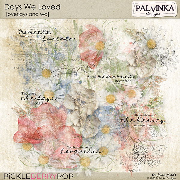 Days We Loved Overlays and WA
