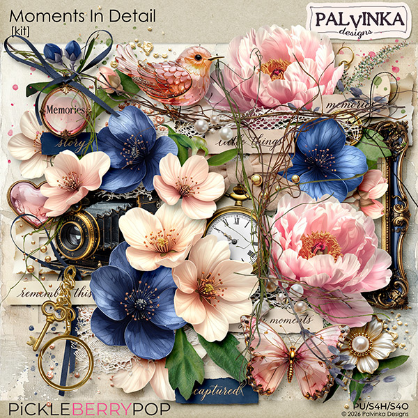 Moments In Detail Kit