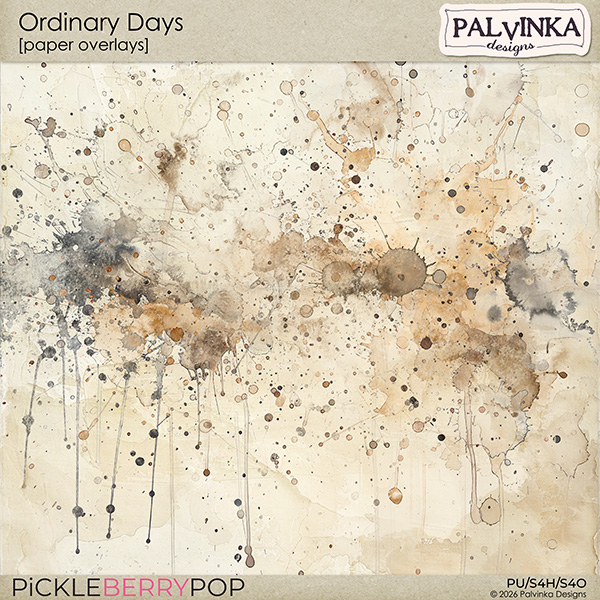 Ordinary Days Paper Overlays