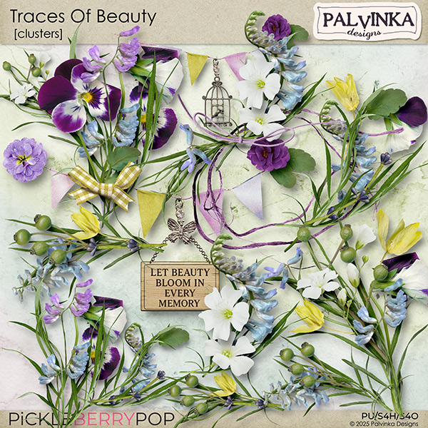 Traces Of Beauty Clusters