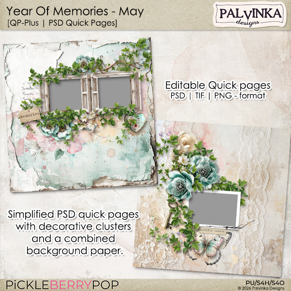 Year Of Memories - May QP-Plus