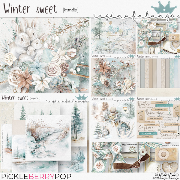 WINTER SWEET BUNDLE