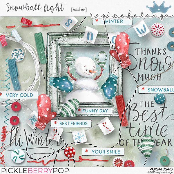 SNOWBALL FIGHT ADD ON