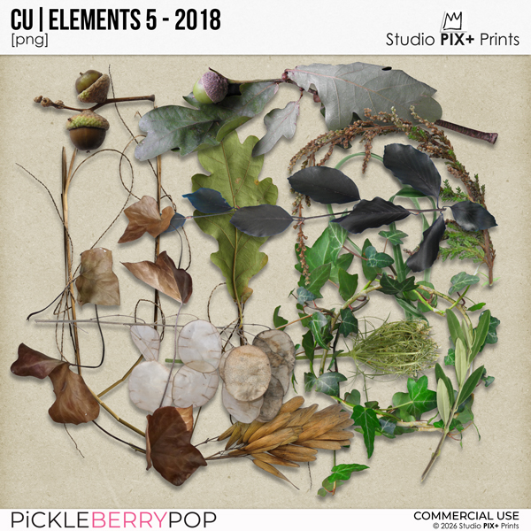 CU - Elements 5 - 2018