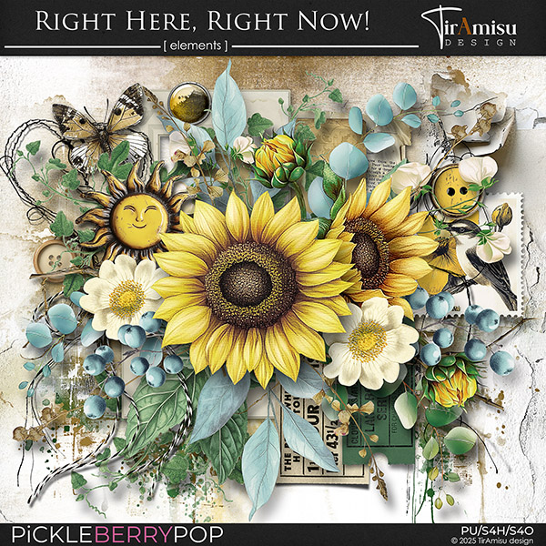 Right Here, Right Now!~ Basic Kit by TirAmisu design