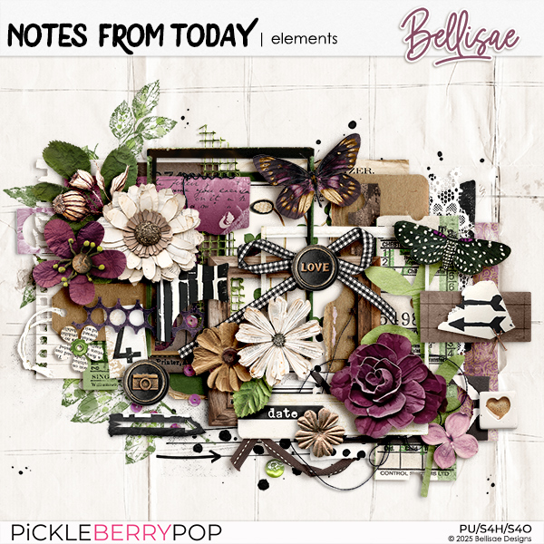 NOTES FROM TODAY | elements by Bellisae